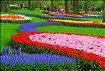 Keukenhof Park